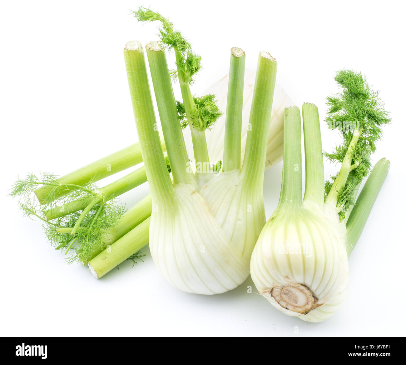 Fenouil Les ampoules. Isolé sur un fond blanc. Banque D'Images