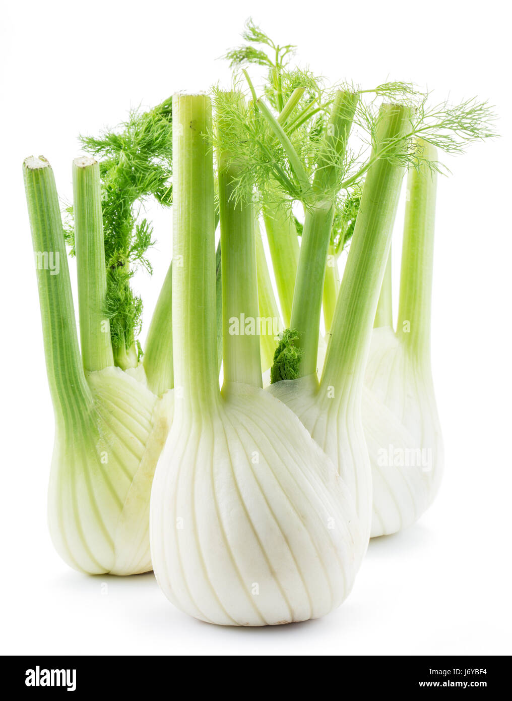 Fenouil Les ampoules. Isolé sur un fond blanc. Banque D'Images