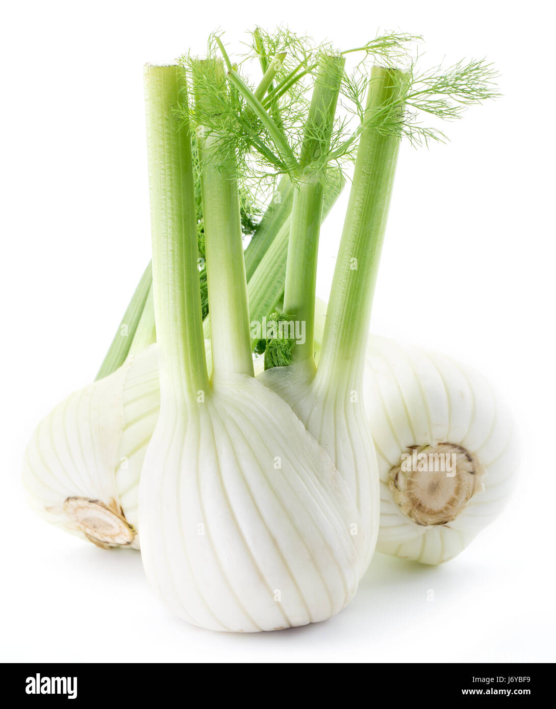 Fenouil Les ampoules. Isolé sur un fond blanc. Banque D'Images