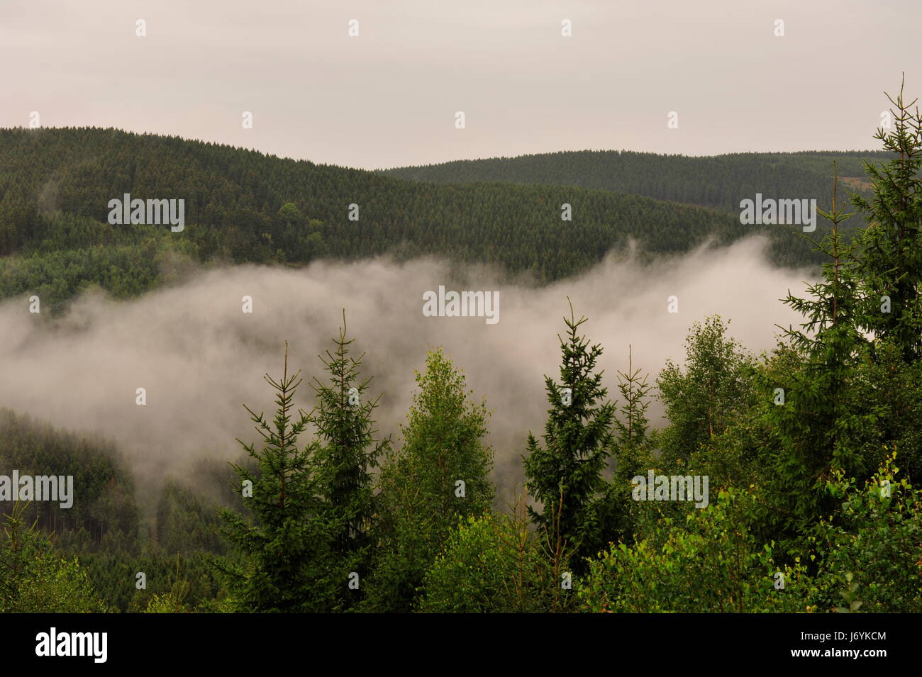 Okertal dans le brouillard et la pluie,résine,Allemagne. Banque D'Images