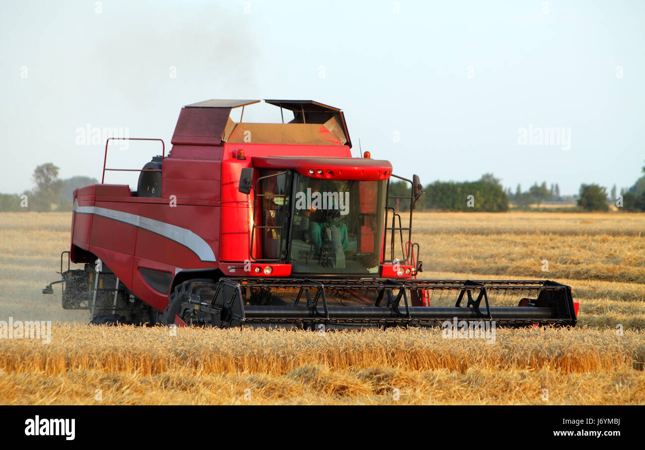 Champ et harvester Banque D'Images