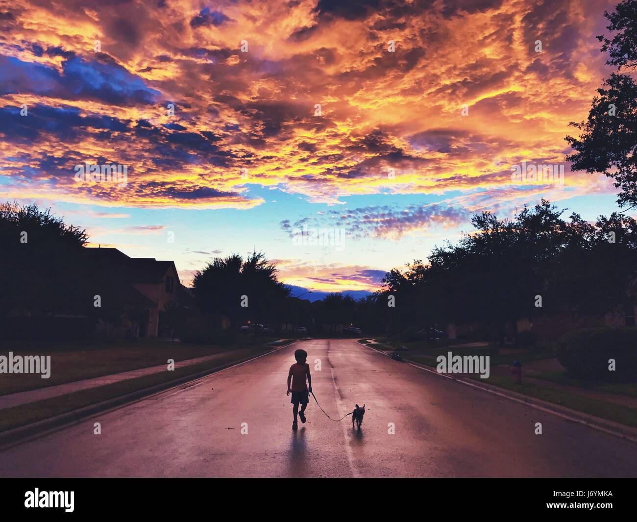 Silhouette d'un garçon marchant son chien dans la route après une tempête de pluie, Texas, États-Unis Banque D'Images