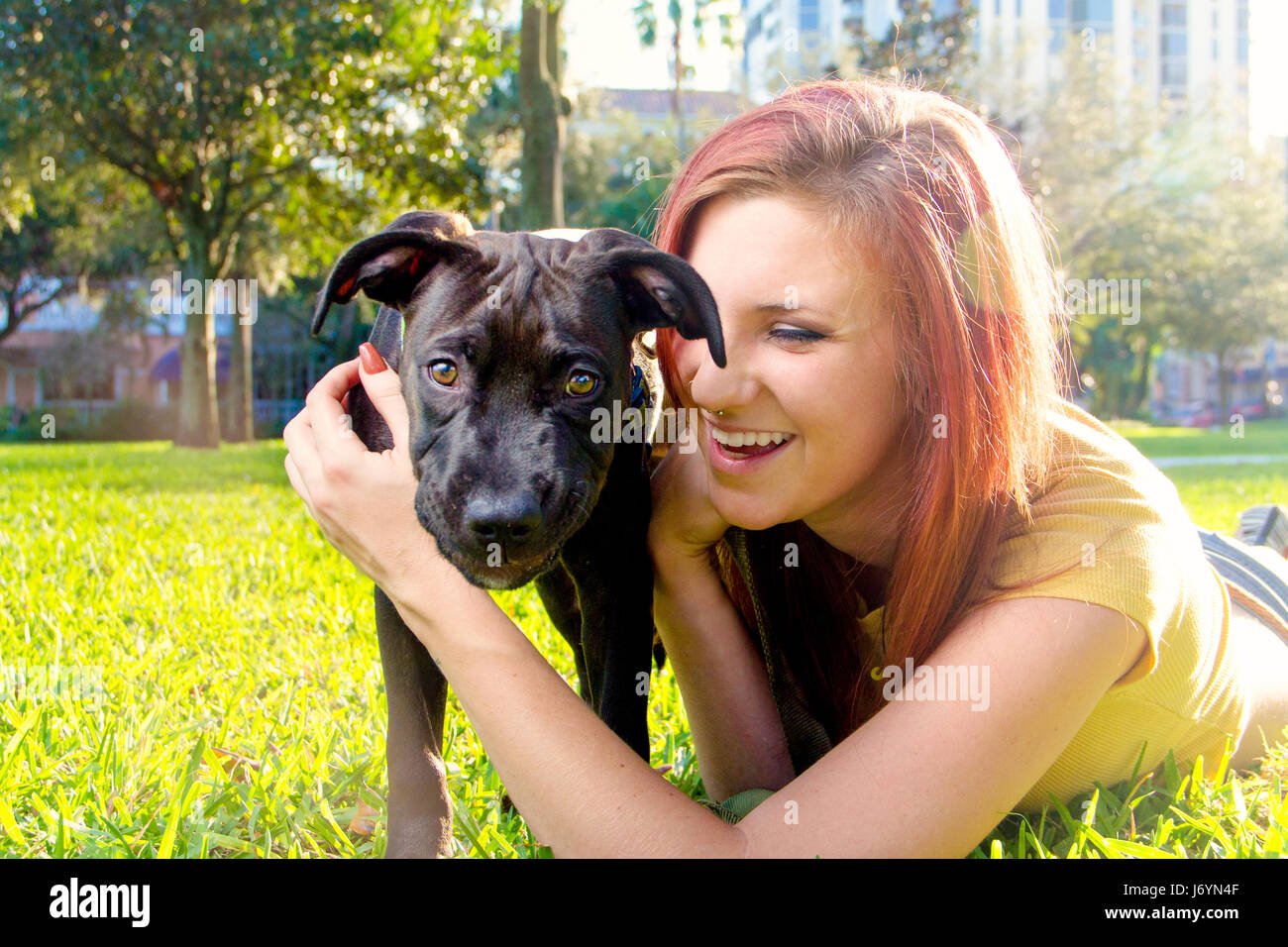 Femme couché dans un parc jouant avec Staffordshire Terrier Puppy, Saint-Pétersbourg, Floride, États-Unis Banque D'Images