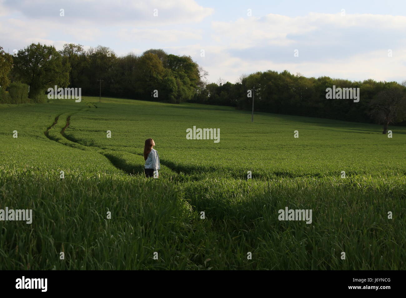 Fille debout dans un champ de blé, Niort, France Banque D'Images