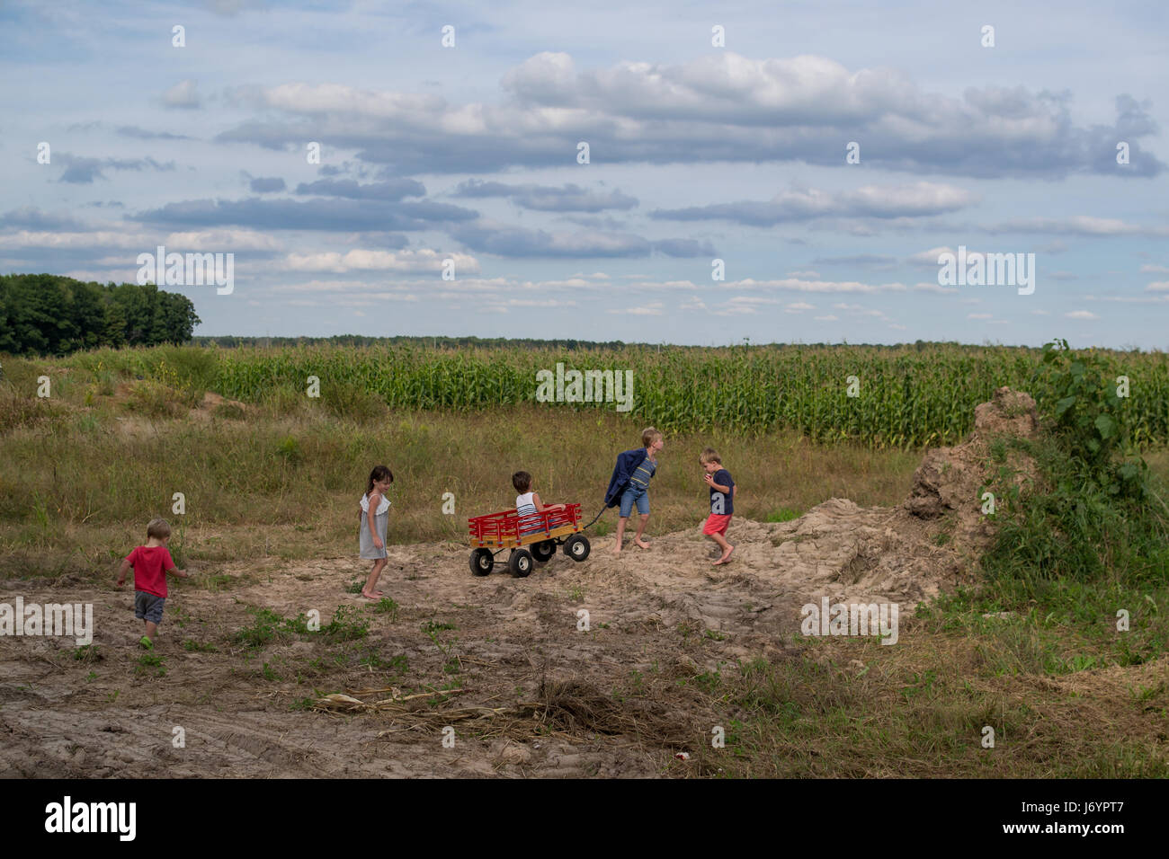 Cinq enfants jouant dans un champ avec un chariot Banque D'Images