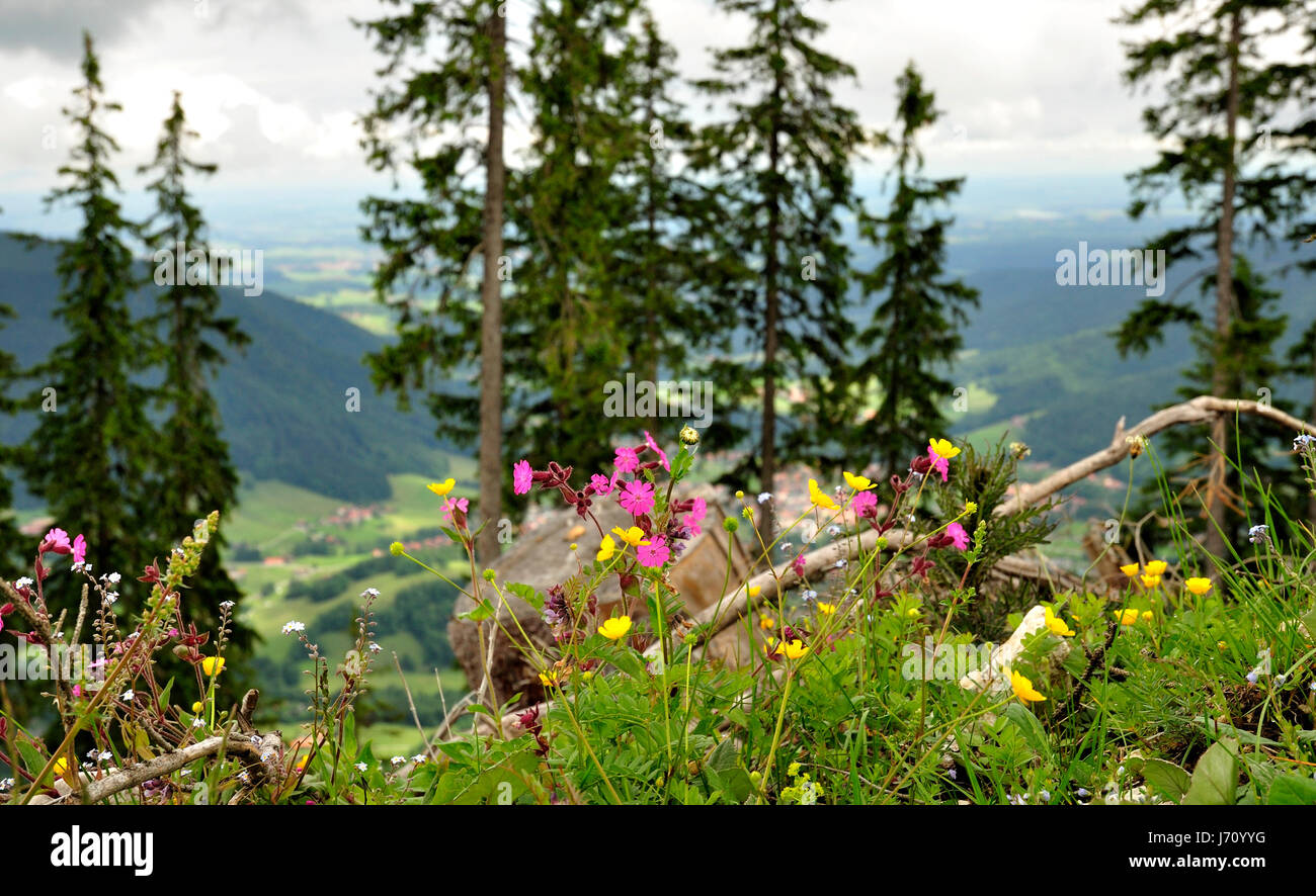 Montagne alpes bavière haute-bavière Alpes montagne montagnes de Bavière Banque D'Images