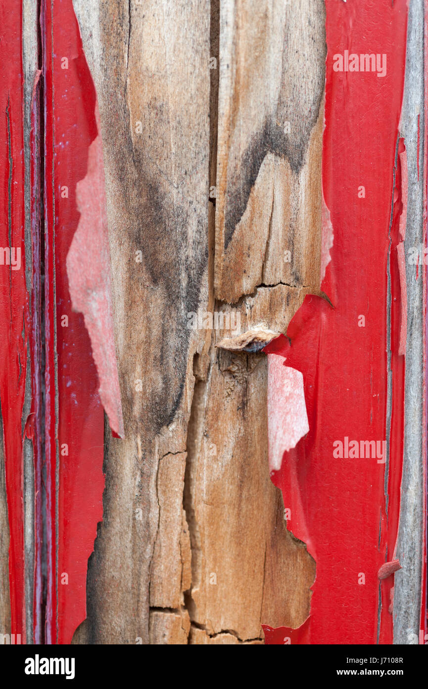 Détail de planches en bois patiné avec de la peinture Banque D'Images