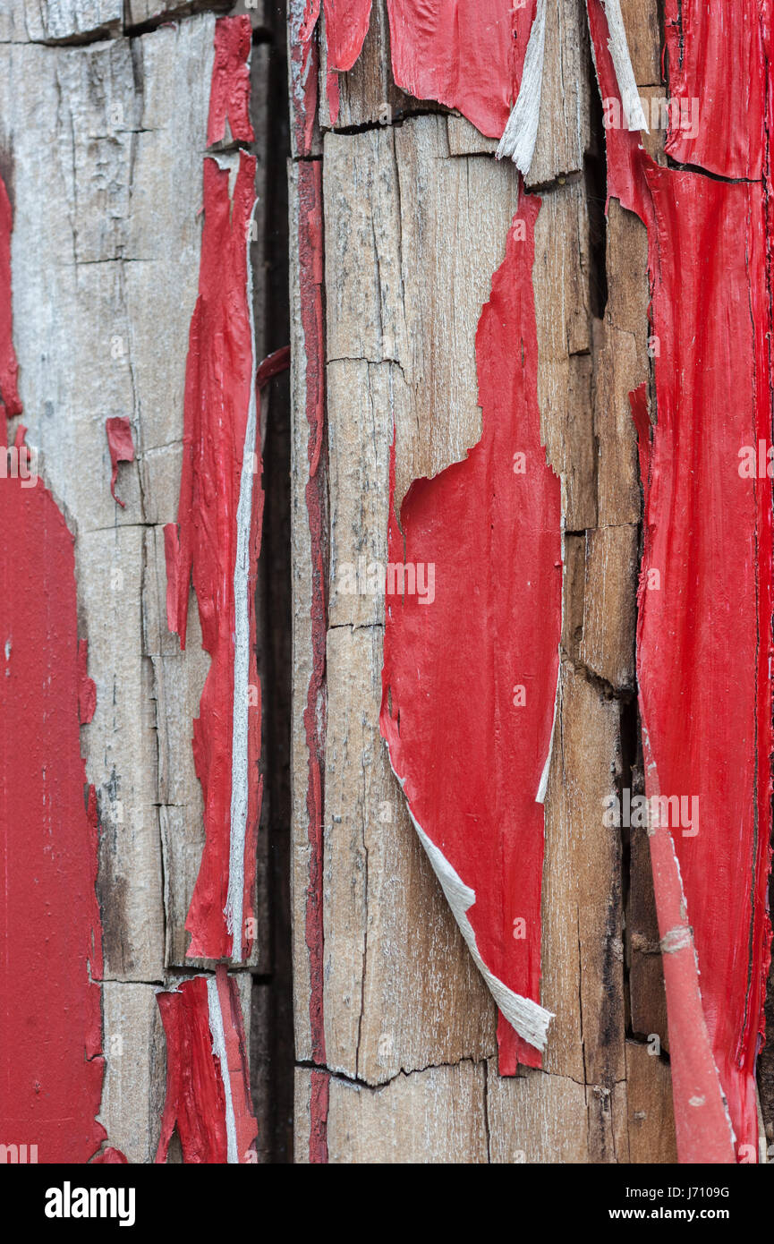 Détail de planches en bois patiné avec de la peinture Banque D'Images
