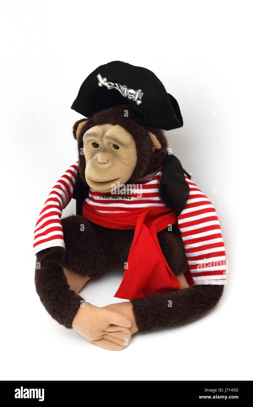 Ruhof habillé en singe Marionnette pirate Banque D'Images