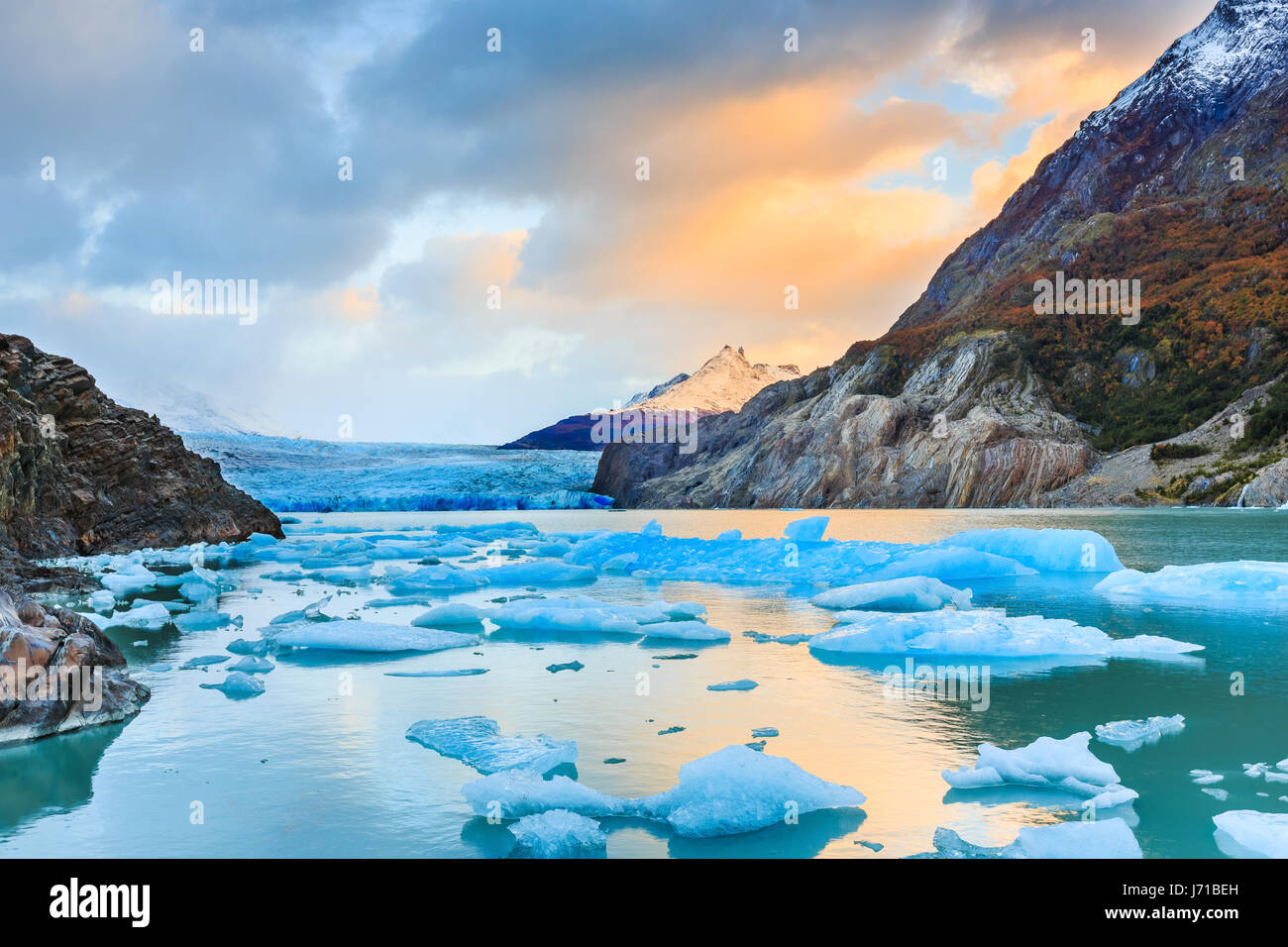 Parc National Torres del Paine, Chili. Glacier Grey. Banque D'Images