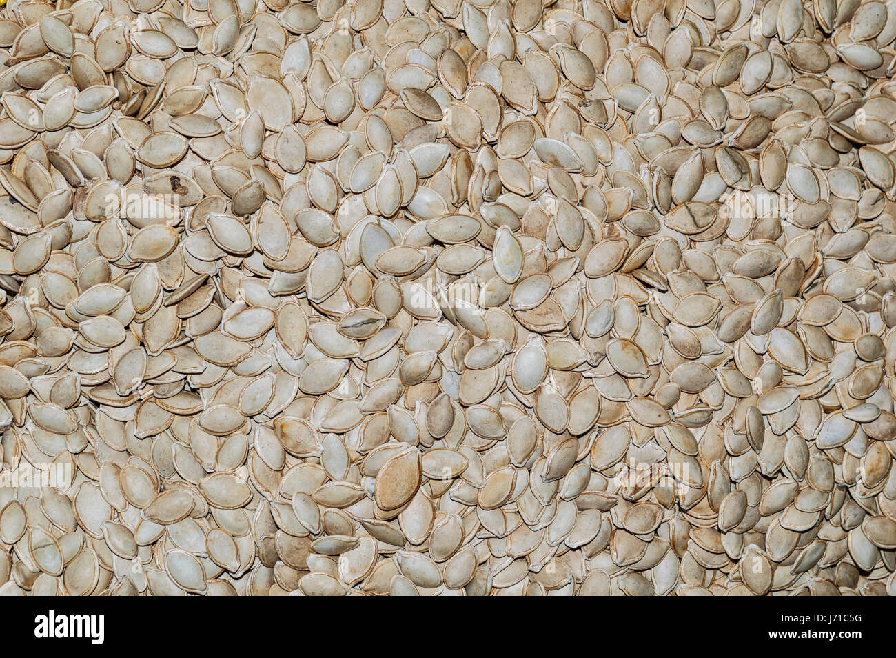 Close up de graines de citrouille, de l'alimentation arrière-plan, Vue de dessus Banque D'Images