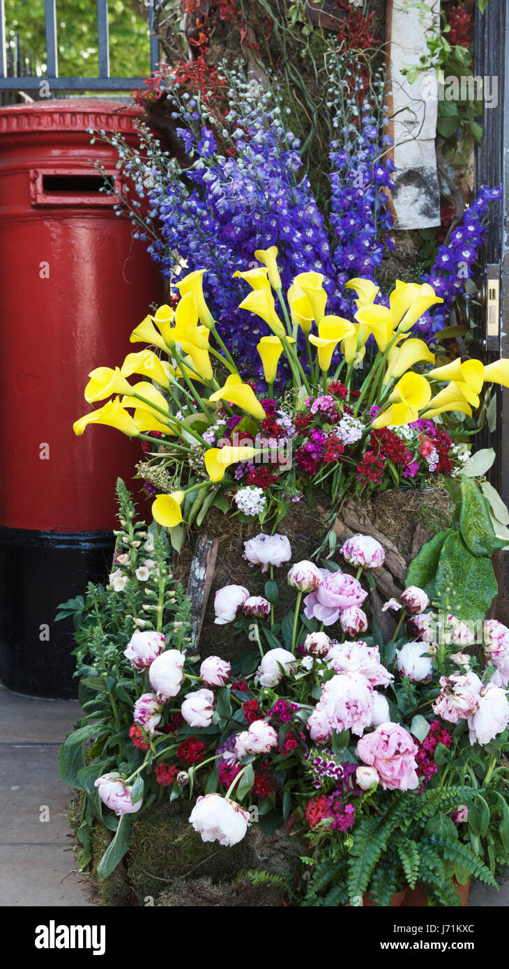 RHS Chelsea Flower Show, London, UK. 22 mai, 2017. Les portes d'entrée Chelsea Flower show, montrant une belle fleur. La Chelsea Flower Show se déroule du 23 au 27 mai. Crédit : Tony Farrugia/Alamy Live News Banque D'Images