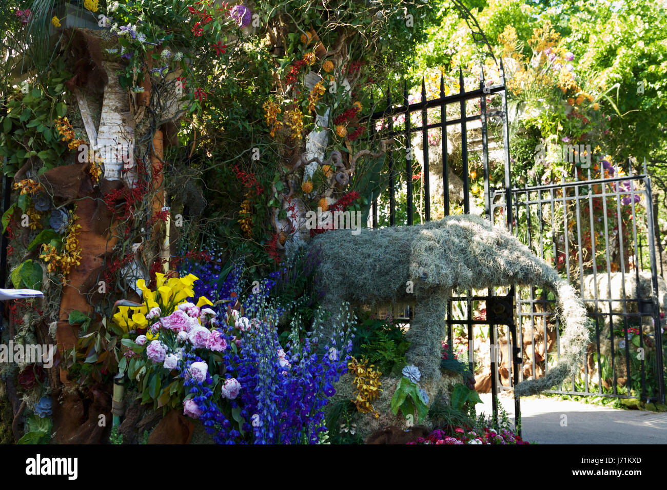 RHS Chelsea Flower Show, London, UK. 22 mai, 2017. Les portes d'entrée Chelsea Flower show, montrant une belle fleur. La Chelsea Flower Show se déroule du 23 au 27 mai. Crédit : Tony Farrugia/Alamy Live News Banque D'Images