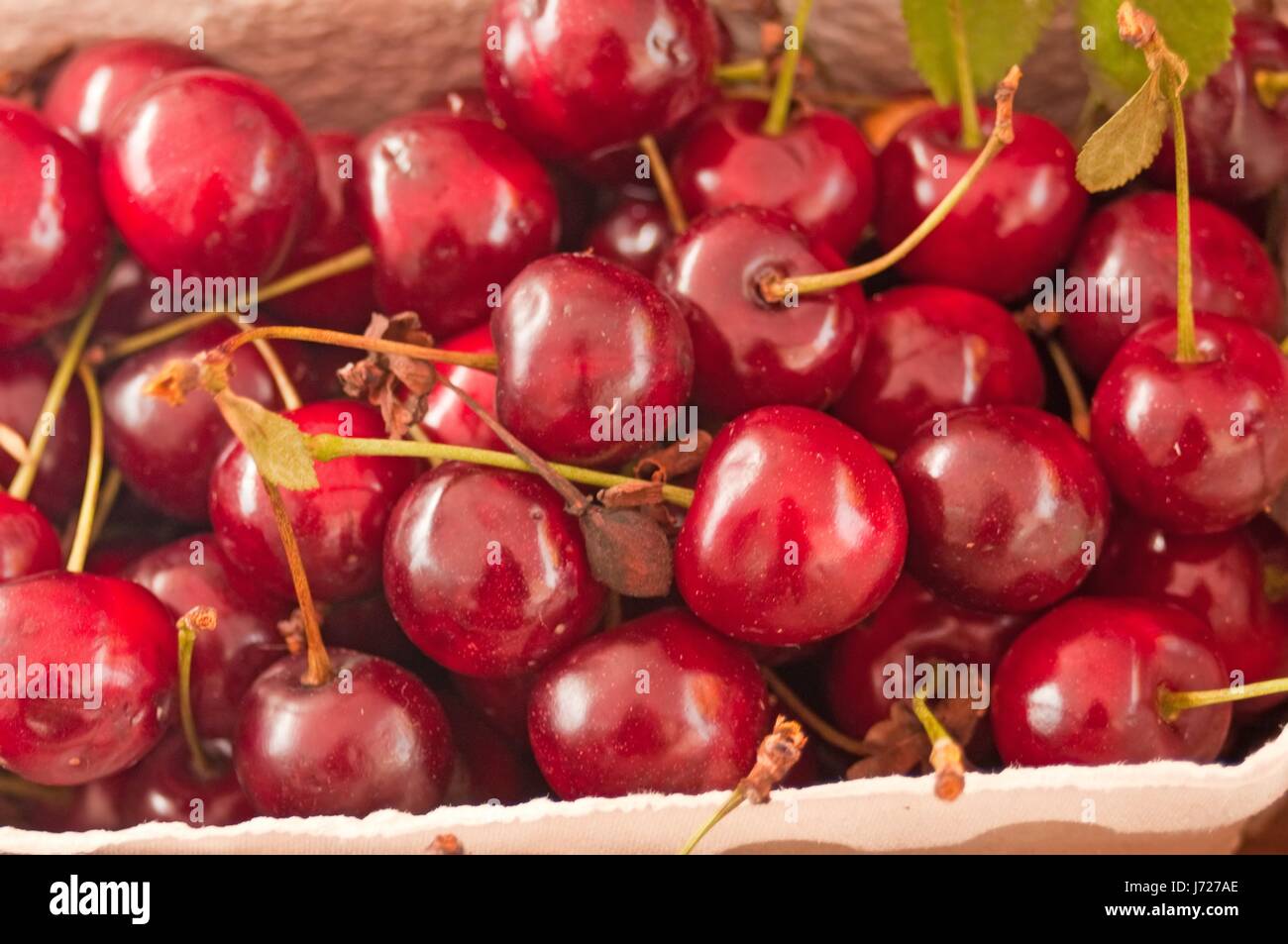 Petits fruits rouges cerises gentiment juteux macro close-up admission macro vue rapprochée Banque D'Images