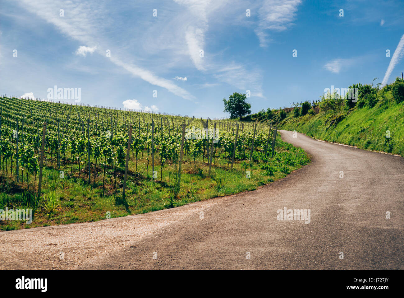De magnifiques paysages de la route des vins le long de la Moselle à  Luxembourg Photo Stock - Alamy