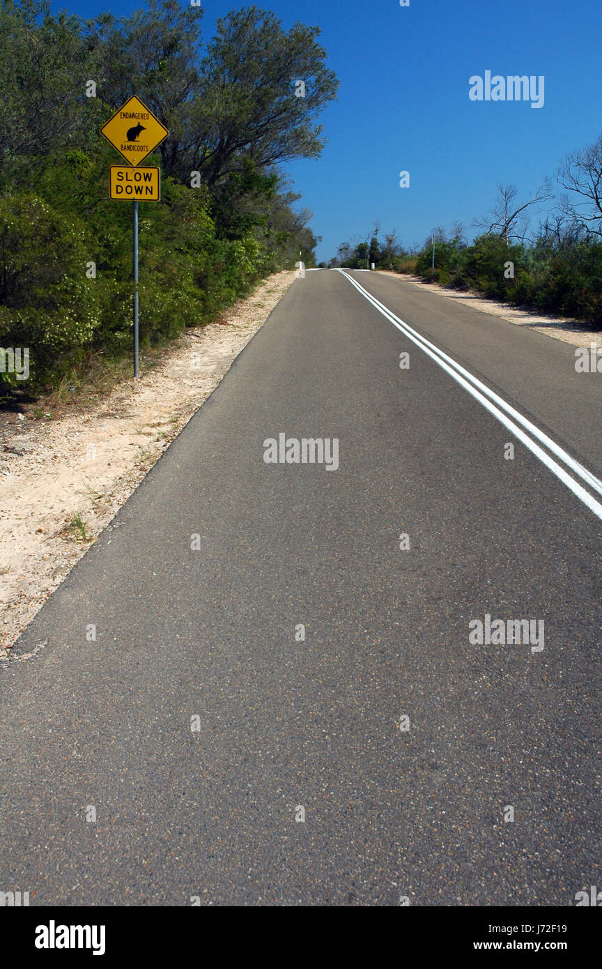Vitesse vitesse lente australian road street voyage arbre randonnée pédestre randonnée Randonnée Banque D'Images