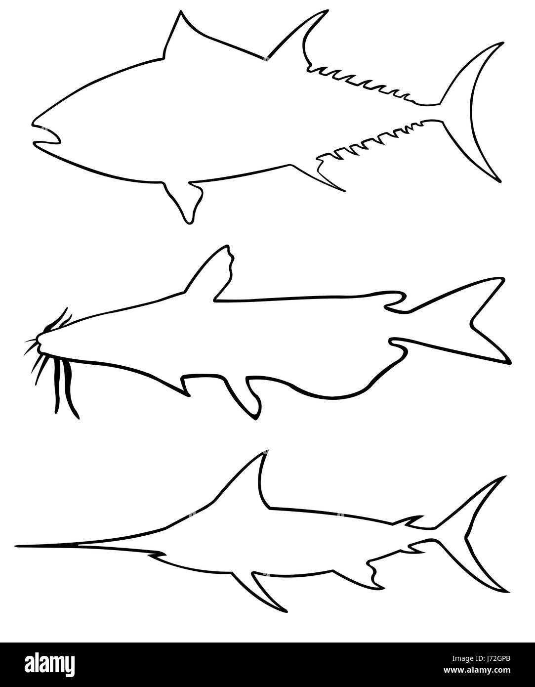 Ensemble de gros poissons différentes silhouettes isolated on white Banque D'Images Ensemble de gros poissons différentes silhouettes isolated on white Banque D'Images