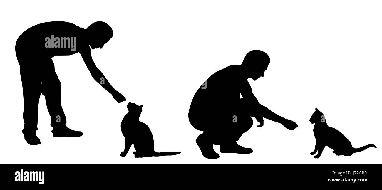 Silhouettes de chats alimentation gens isolated on white Banque D'Images