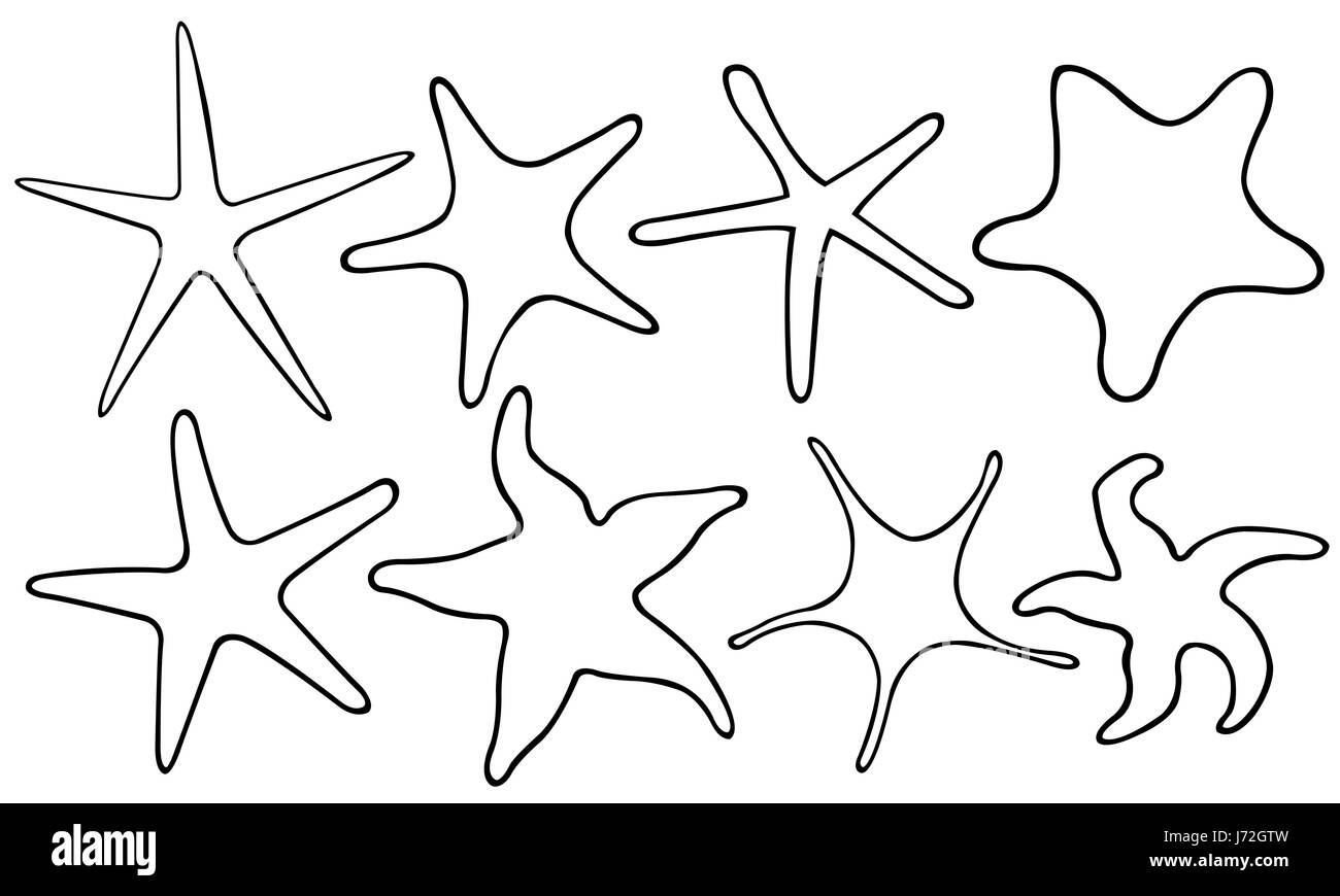 Ensemble d'étoiles de différentes isolated on white Banque D'Images