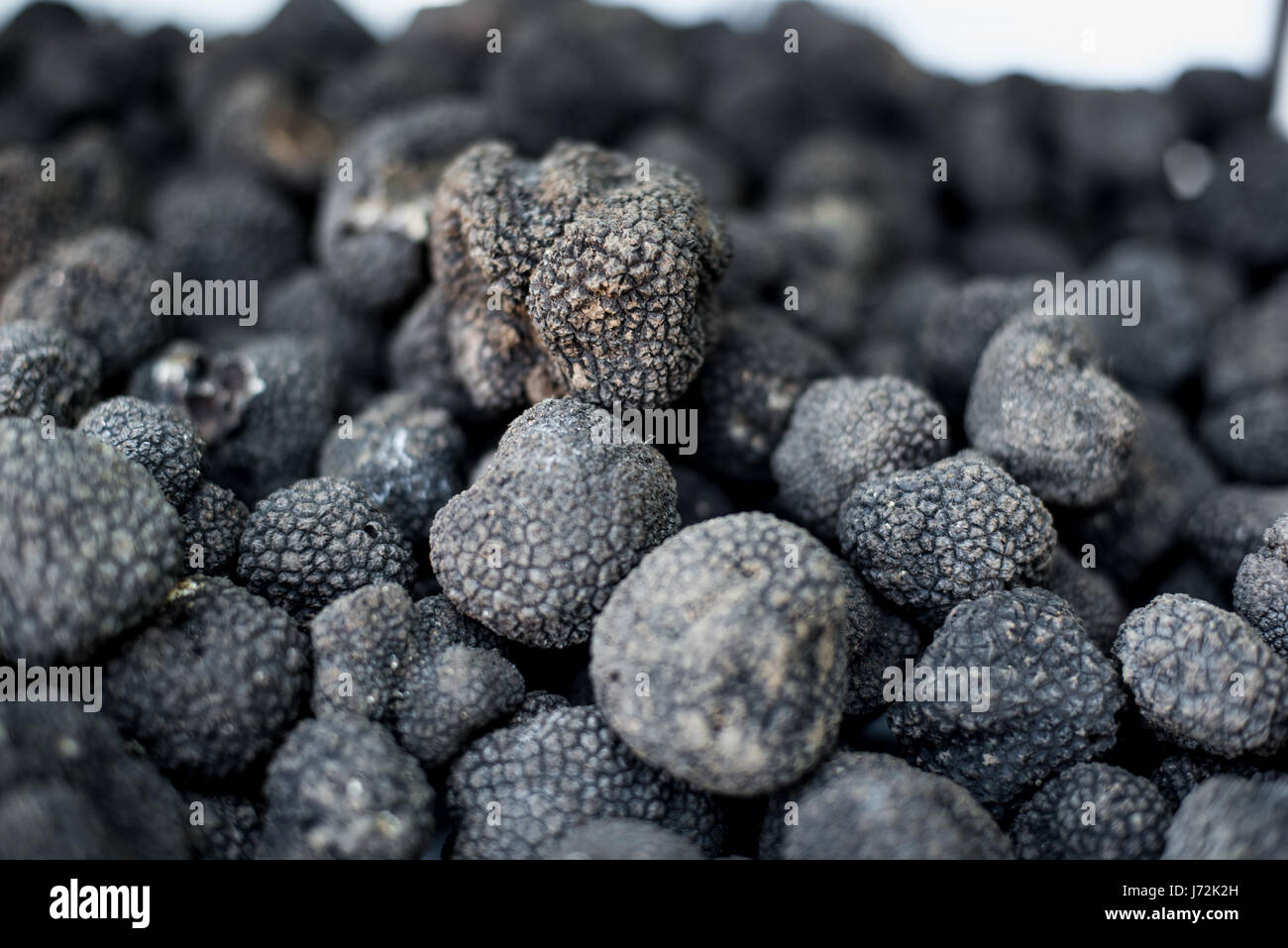 Détail d'une Macro champignons truffe noire sur heap selective focus Banque D'Images