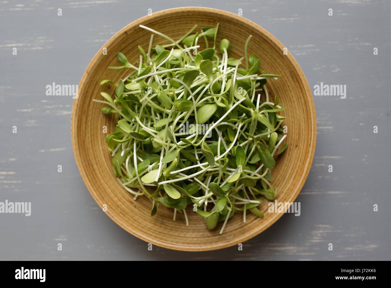 Un bol de pousses de tournesol. Banque D'Images