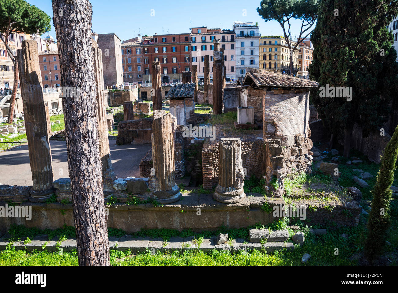 Largo di Torre Argentina est un carré à Rome, en Italie, qui héberge quatre temples romains républicains, et le reste du théâtre de Pompée. Banque D'Images