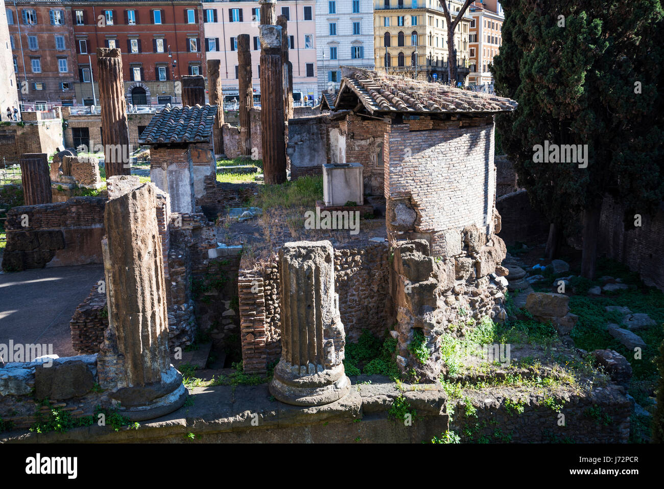 Largo di Torre Argentina est un carré à Rome, en Italie, qui héberge quatre temples romains républicains, et le reste du théâtre de Pompée. Banque D'Images