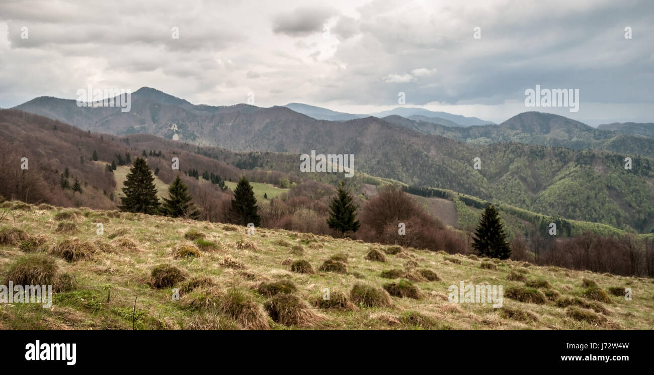 Paysage de montagne avec seulement la nature sauvage, avec des collines et prairies de montagne d'nolcovska colline magura Velka Fatra en montagnes en Slovaquie Banque D'Images
