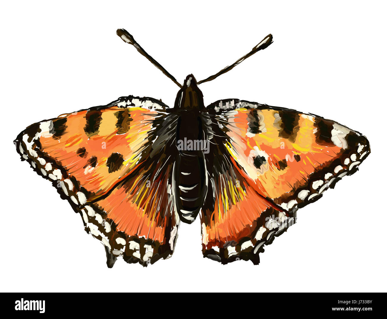 Jardin d'été papillon insecte animal summerly illustration Peinture aile Banque D'Images