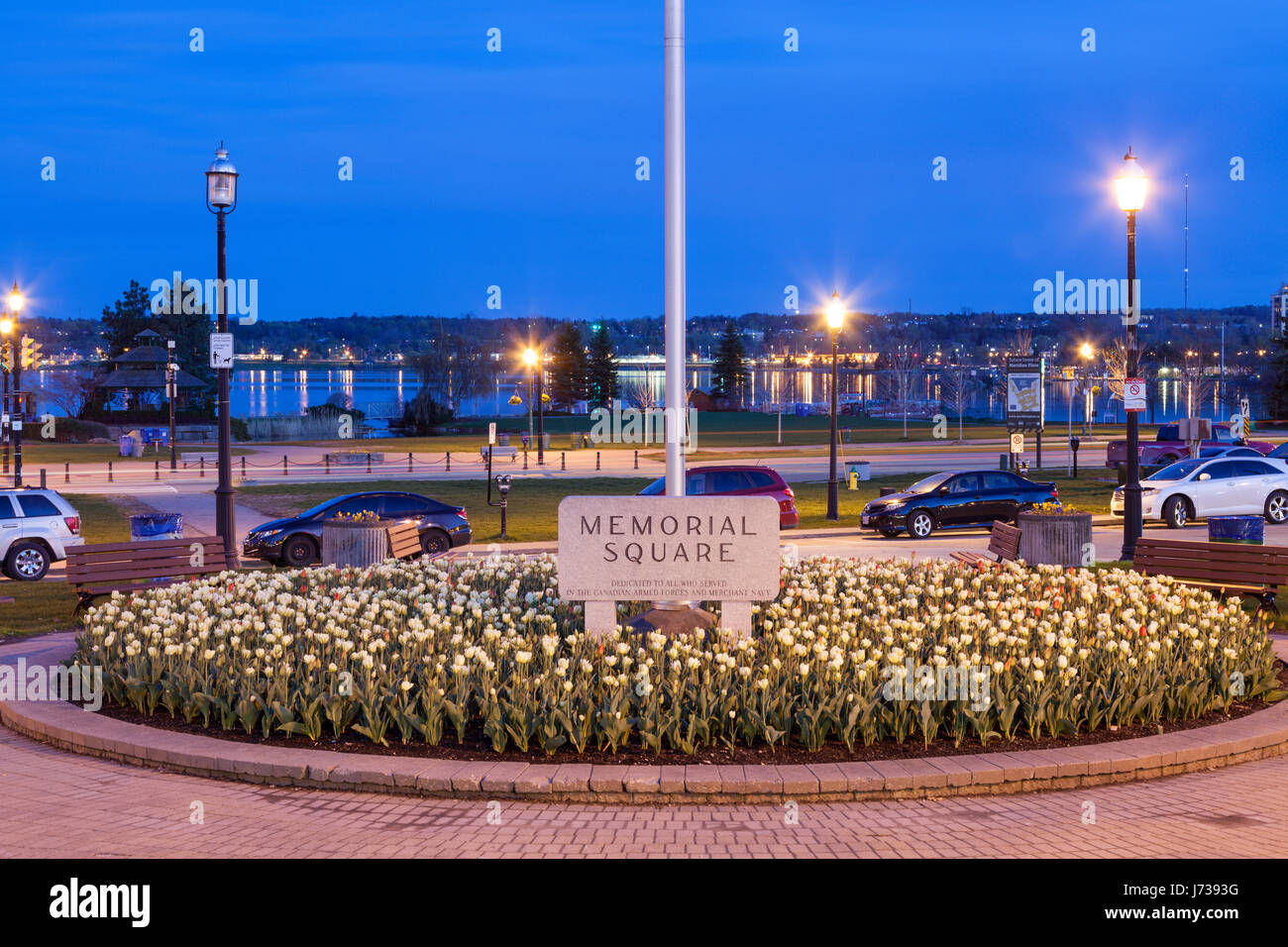 Tulipes au Memorial Square au printemps le long de la rue Dunlop Orient au crépuscule avec la baie de Kempenfelt, au lac Simcoe dans l'arrière-plan. Barrie, Ontario, Canada. Banque D'Images