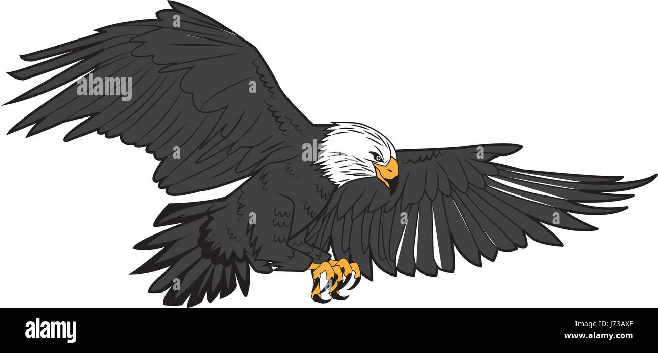 American Bald Eagle battant droit de la faune Illustration de Vecteur