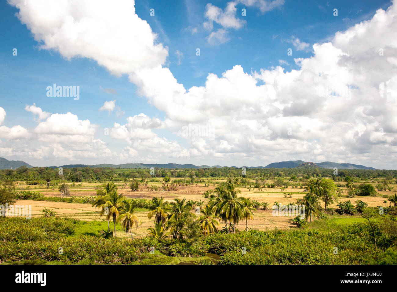 Très beau paysage tropical fertile avec ciel bleu et le beau temps. Avis de Sigiriya, Sri Lanka. Banque D'Images Très beau paysage tropical fertile avec ciel bleu et le beau temps. Avis de Sigiriya, Sri Lanka. Banque D'Images