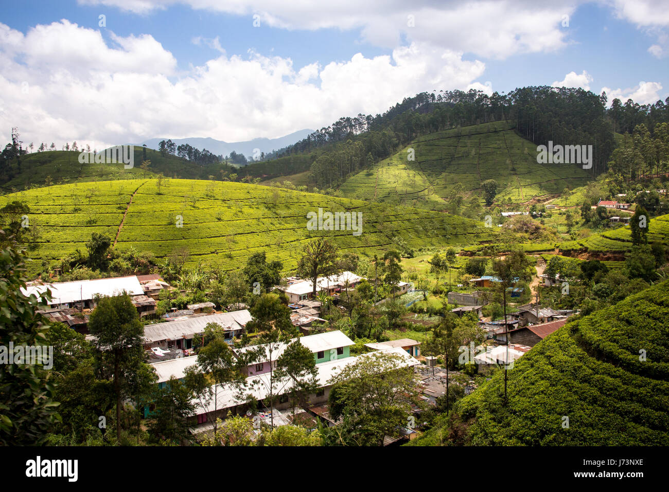 Villages de montagne rural parmi les plantations de thé dans les hautes terres du Sri Lanka. Vue depuis le train à Nuwara Eliya. Banque D'Images