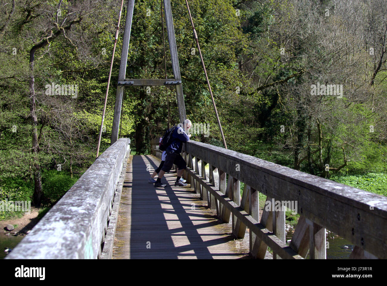 Chatelherault Country Park River Avon Le Pont Vert Banque D'Images