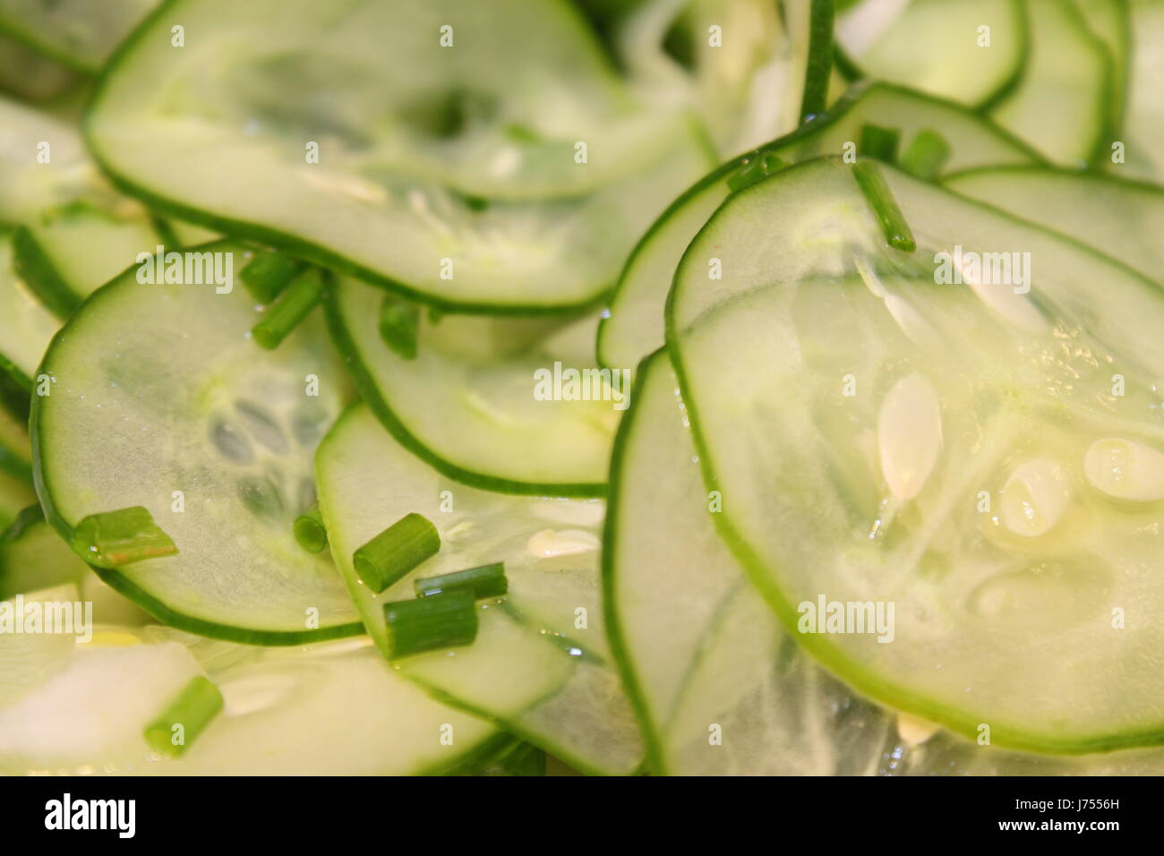 Aliment alimentaire eco cornichons concombre Salade de concombre salade fraîche des aliments sains Banque D'Images