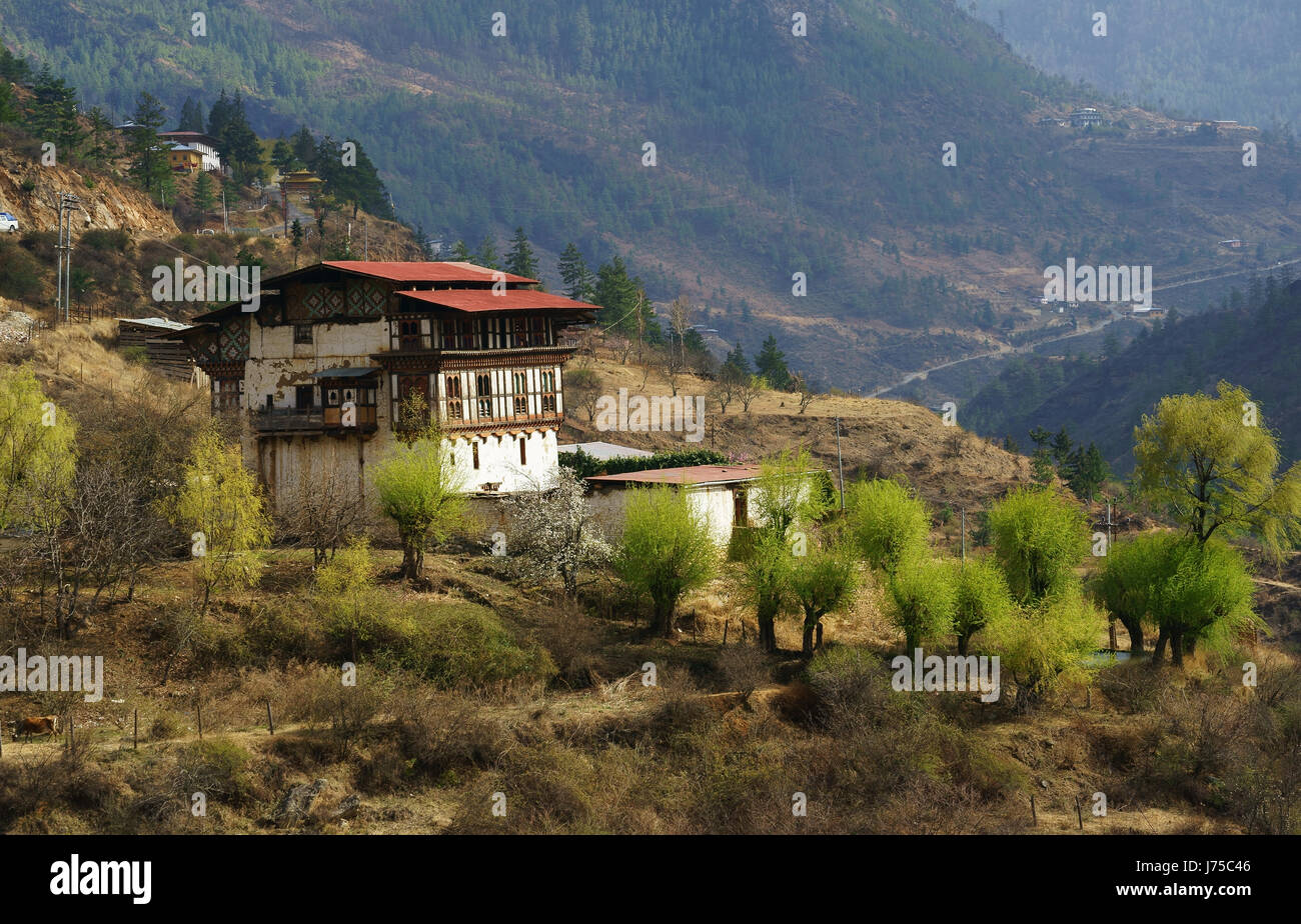 Gîte rural au sud de Thimphu, Bhoutan, printemps Banque D'Images