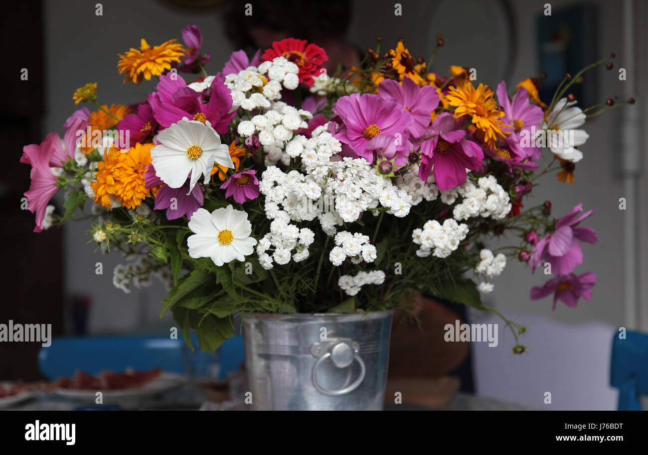 Bouquet de fleurs d'été Banque D'Images