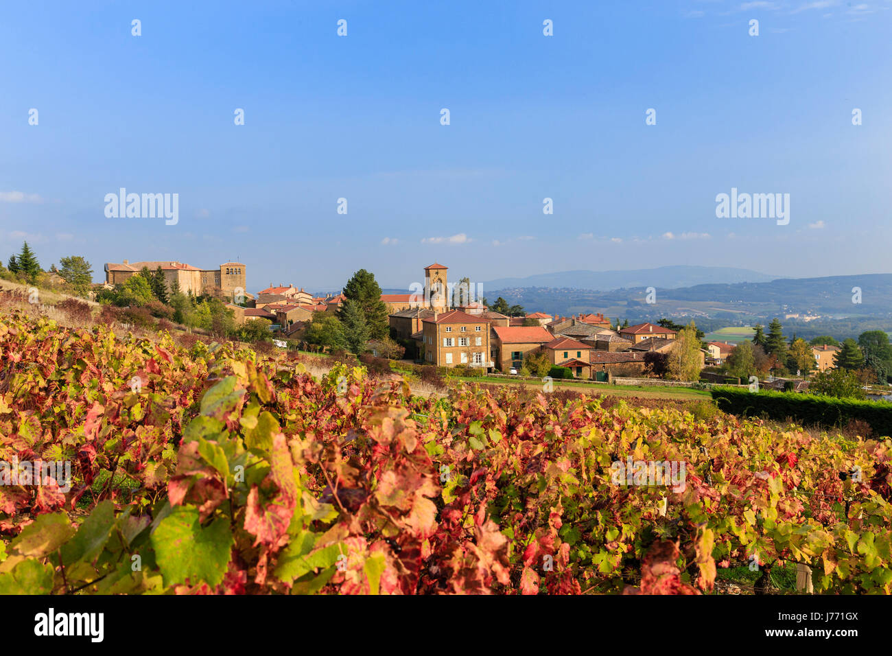 France, Rhône, Beaujolais, Théize, le village et les vignobles en automne Banque D'Images
