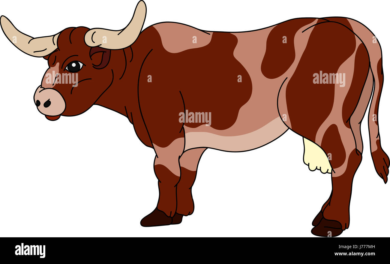Illustration graphique couleur isolé peinture vache tirer marquées pictographic Banque D'Images