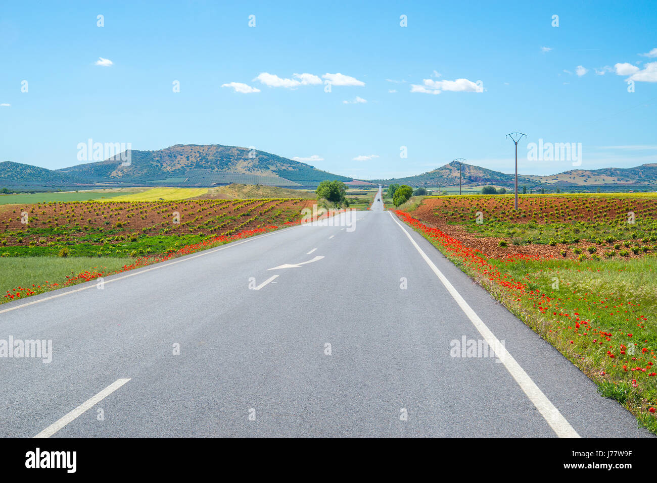 Route de Los Cortijos. Fuente del Fresno, Ciudad Real province, Castilla La Mancha, Espagne. Banque D'Images