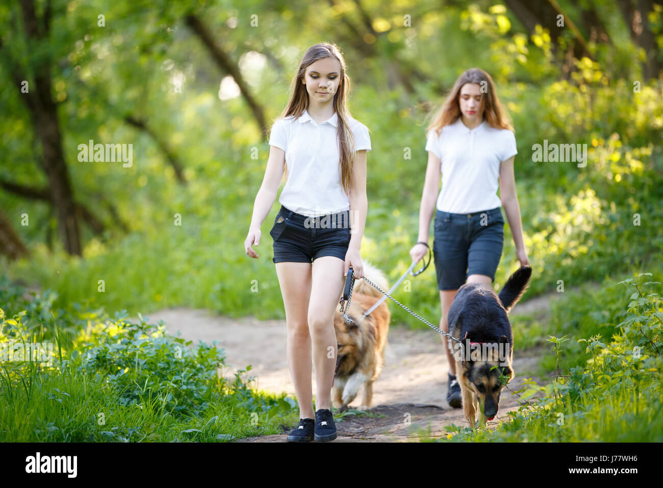 Deux smiling teenage girls walking avec ses chiens dans la région de Spring Park Banque D'Images