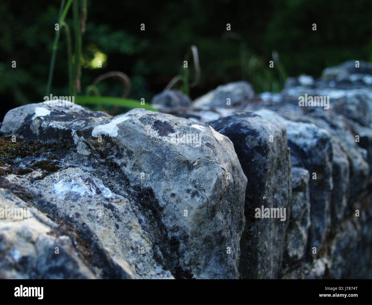 La photographie de la Nature Banque D'Images