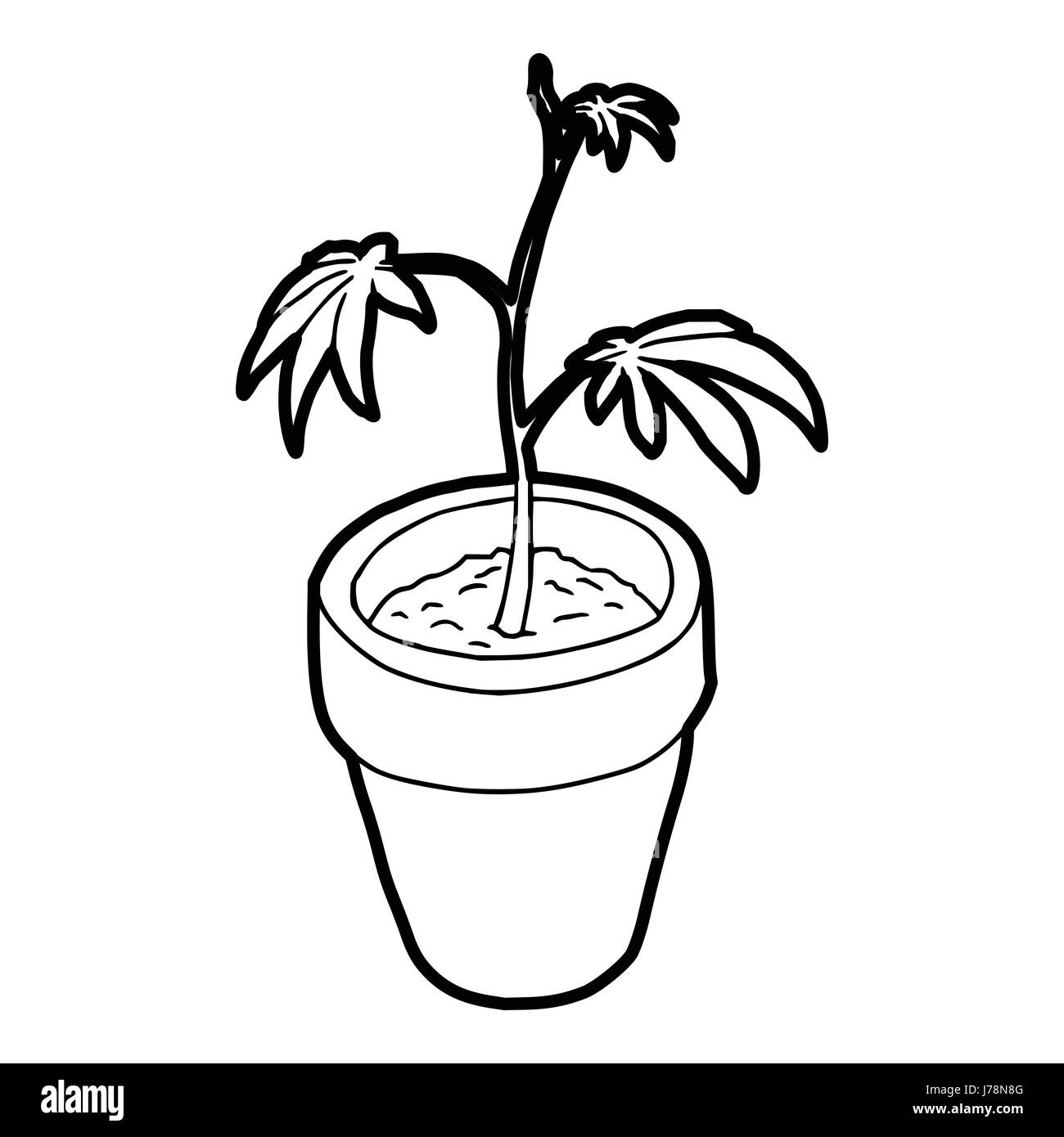 L'icône de la plante de cannabis dans contour style sur un fond blanc vector illustration Illustration de Vecteur