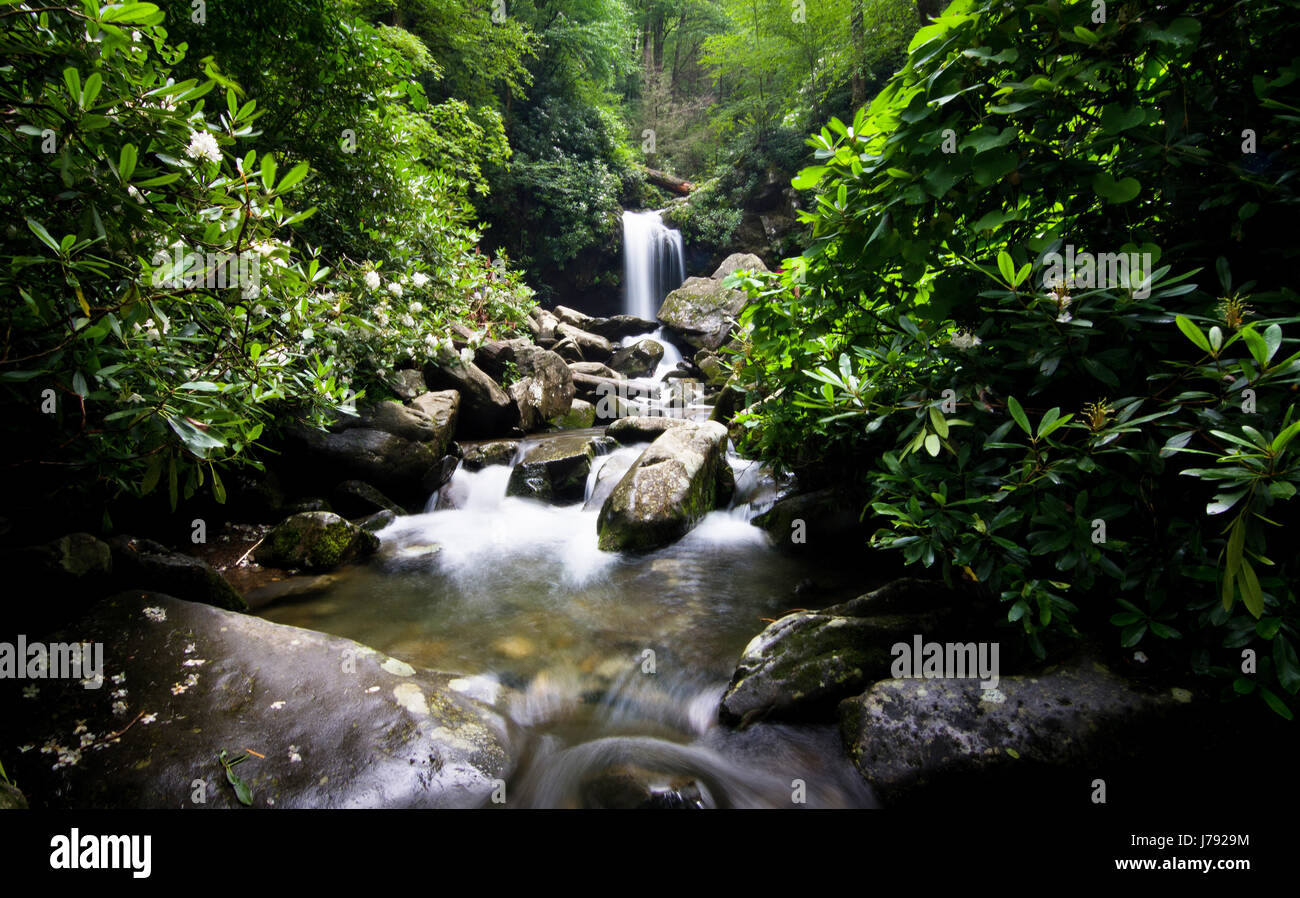 Cascades et chutes d'eau de la grotte en vert forêt, Gatlinburg Tennessee, Great Smoky Mountains National Park Banque D'Images