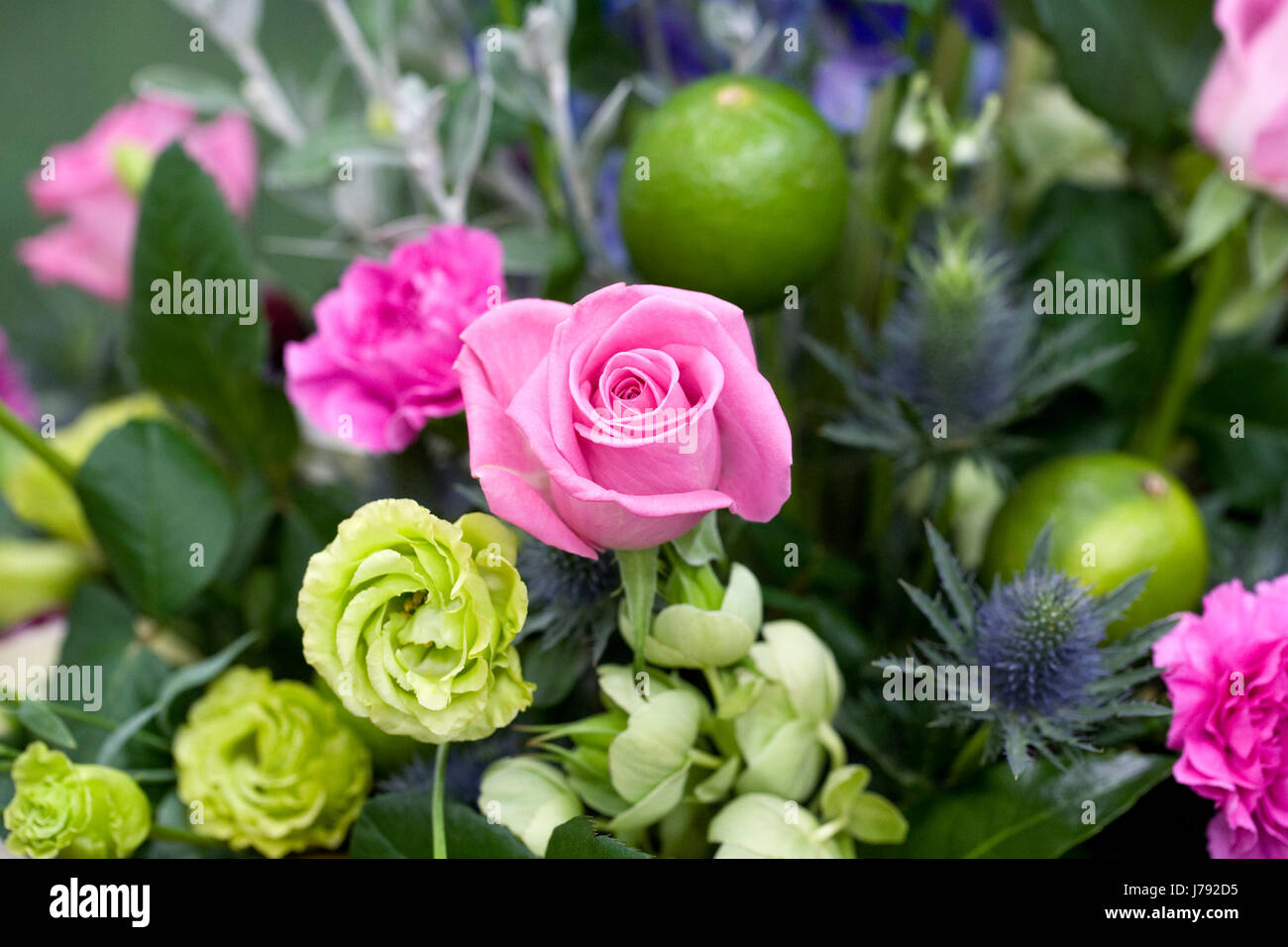 Une rose rose dans un arrangement de fleurs de printemps. Banque D'Images
