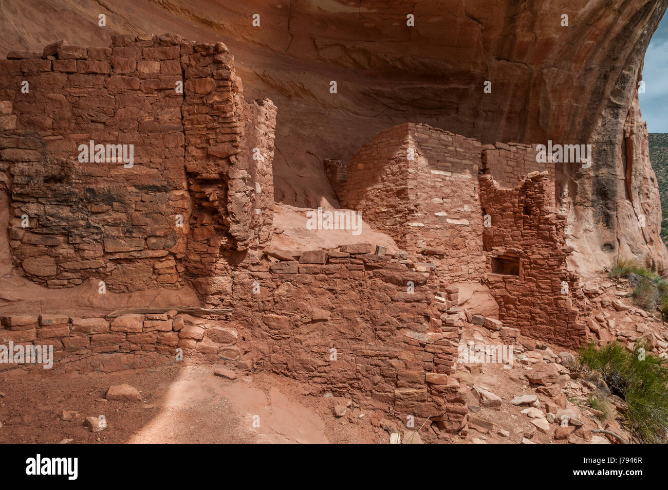 Alcôve ensoleillée, ruines Anasazi, Sand Canyon Trail, Canyons of the Ancients National Monument au nord-ouest de Cortez, Colorado. Banque D'Images