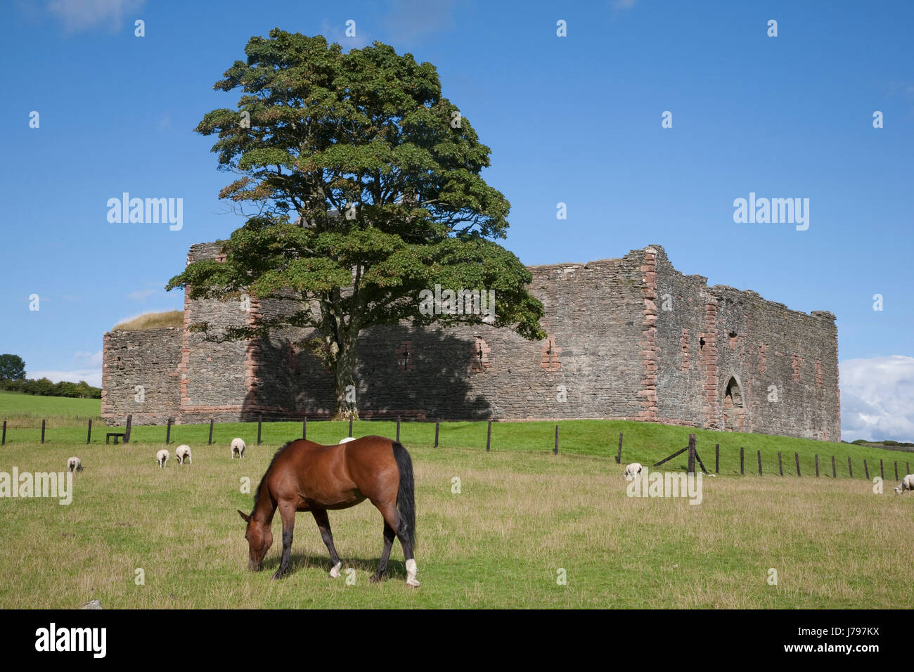 Horse Monument château de skipness ecosse voyage architecture bâtiment kintyre Banque D'Images