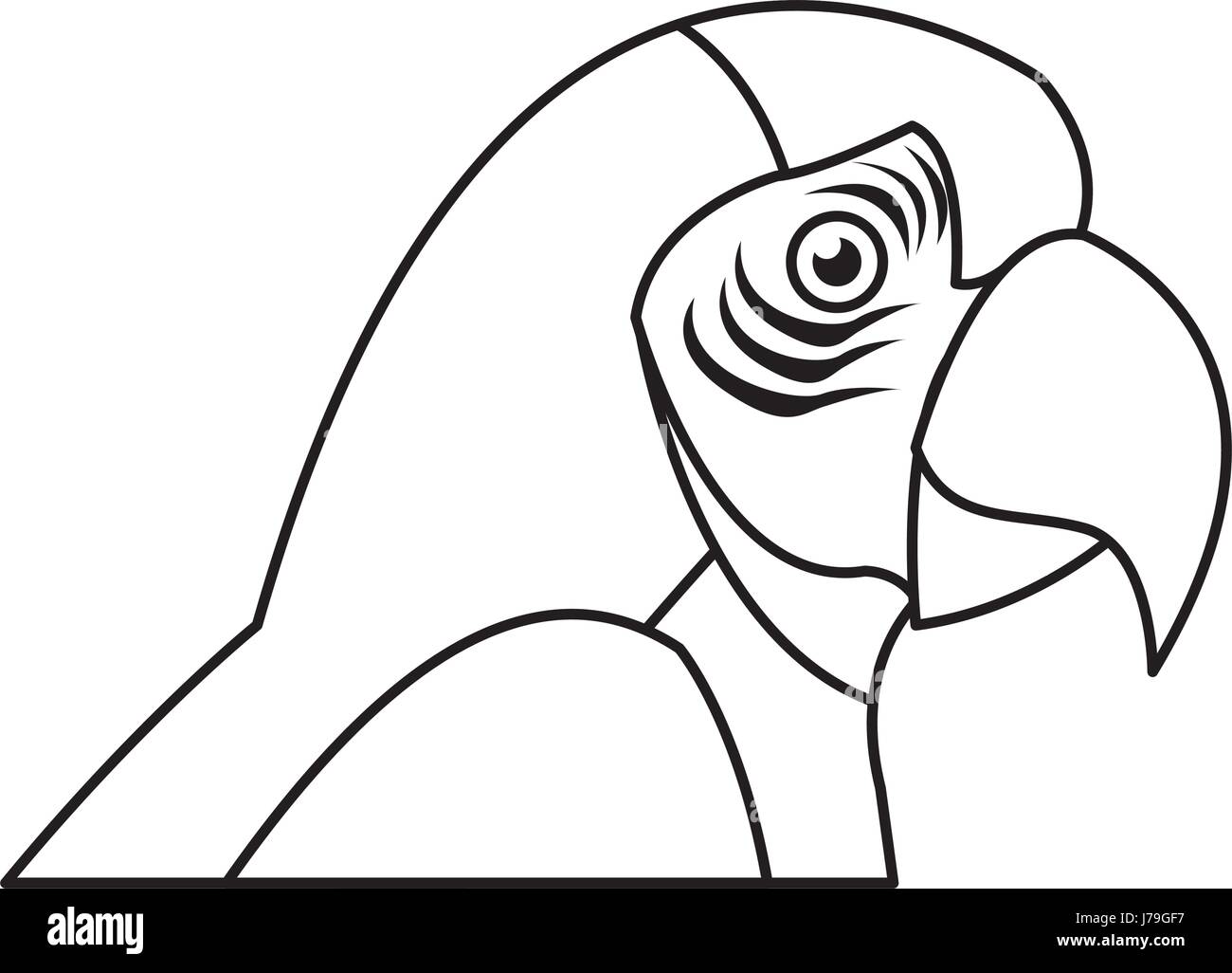 Amazon macaw bird Brésil vie sauvage libre Illustration de Vecteur