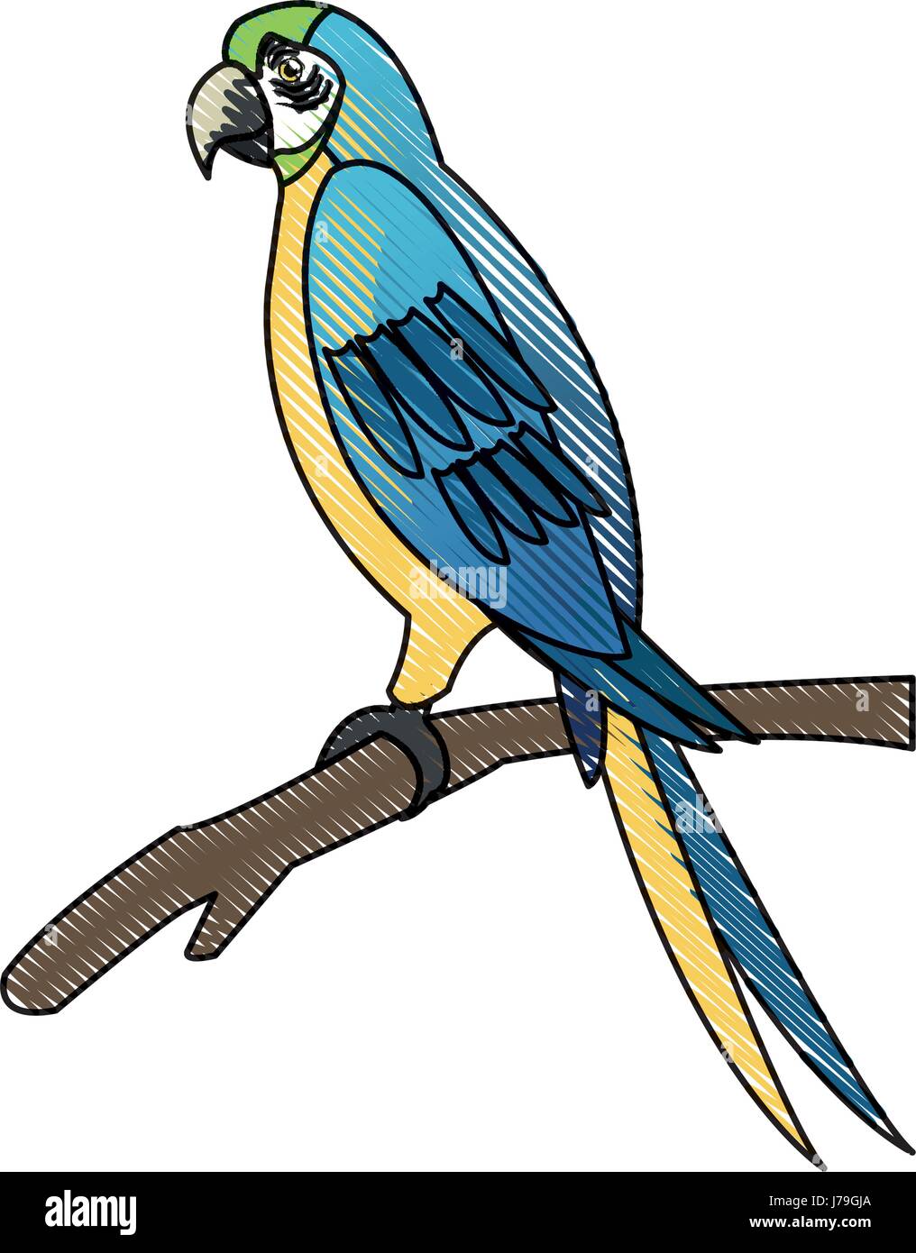 Amazon macaw bird Brésil vie sauvage libre Illustration de Vecteur