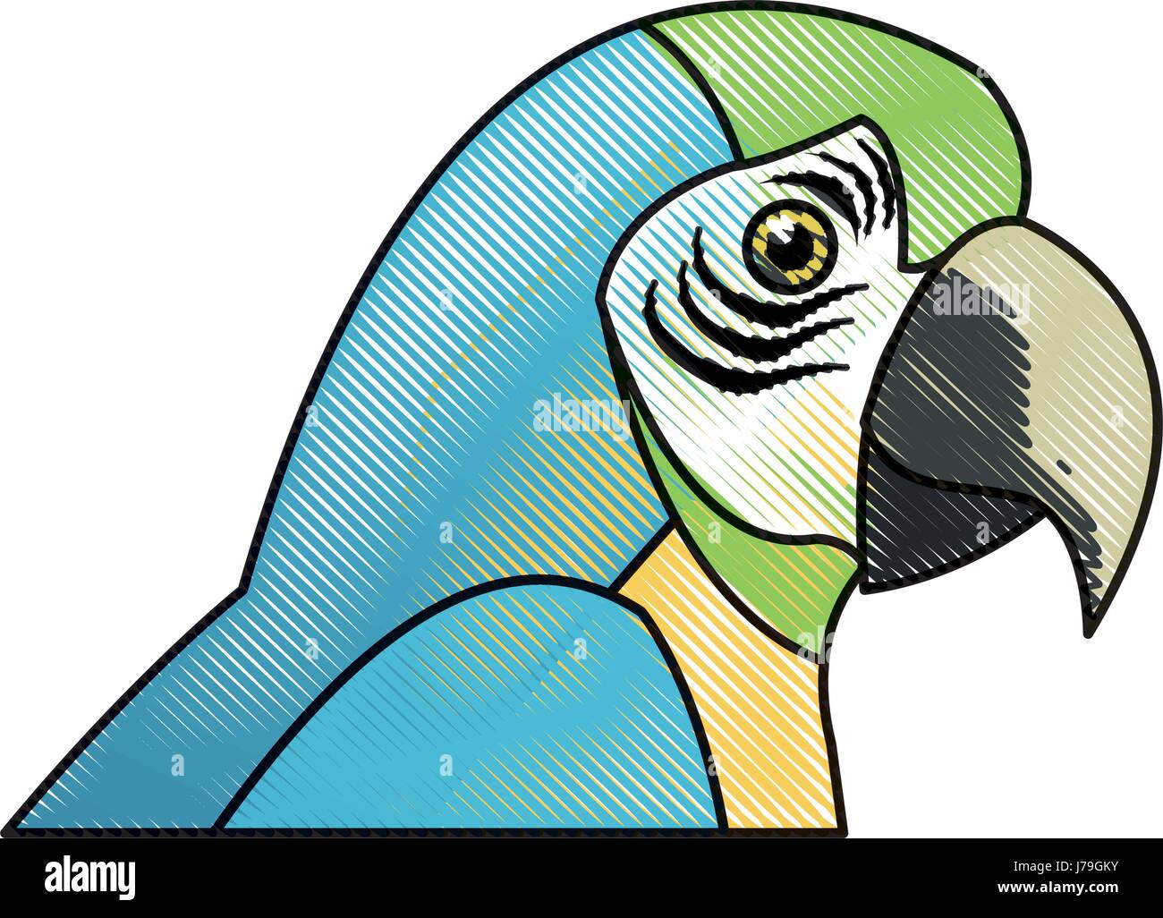 Amazon macaw bird Brésil vie sauvage libre Illustration de Vecteur